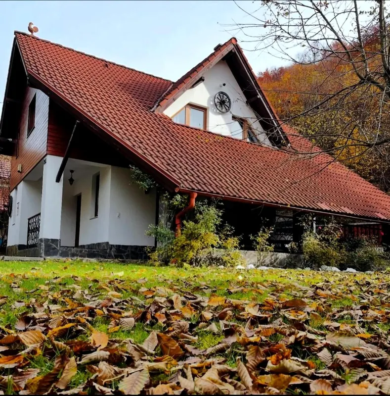 Cabana Eden toamna, văzută din curte